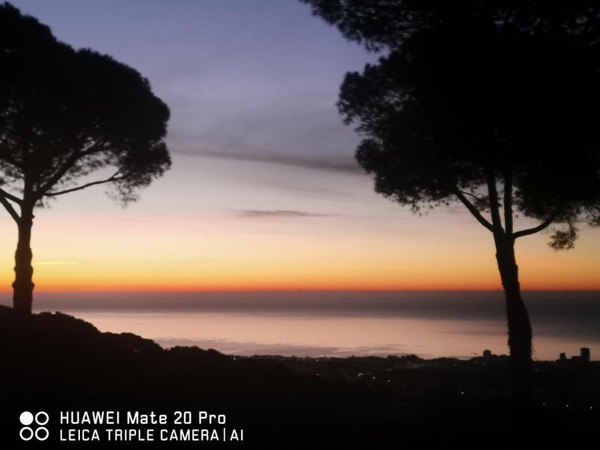 Villa Maresme & Villa Rosa Mataró Dış mekan fotoğraf