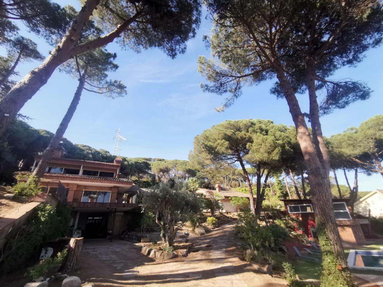 Villa Maresme & Villa Rosa Mataró Dış mekan fotoğraf